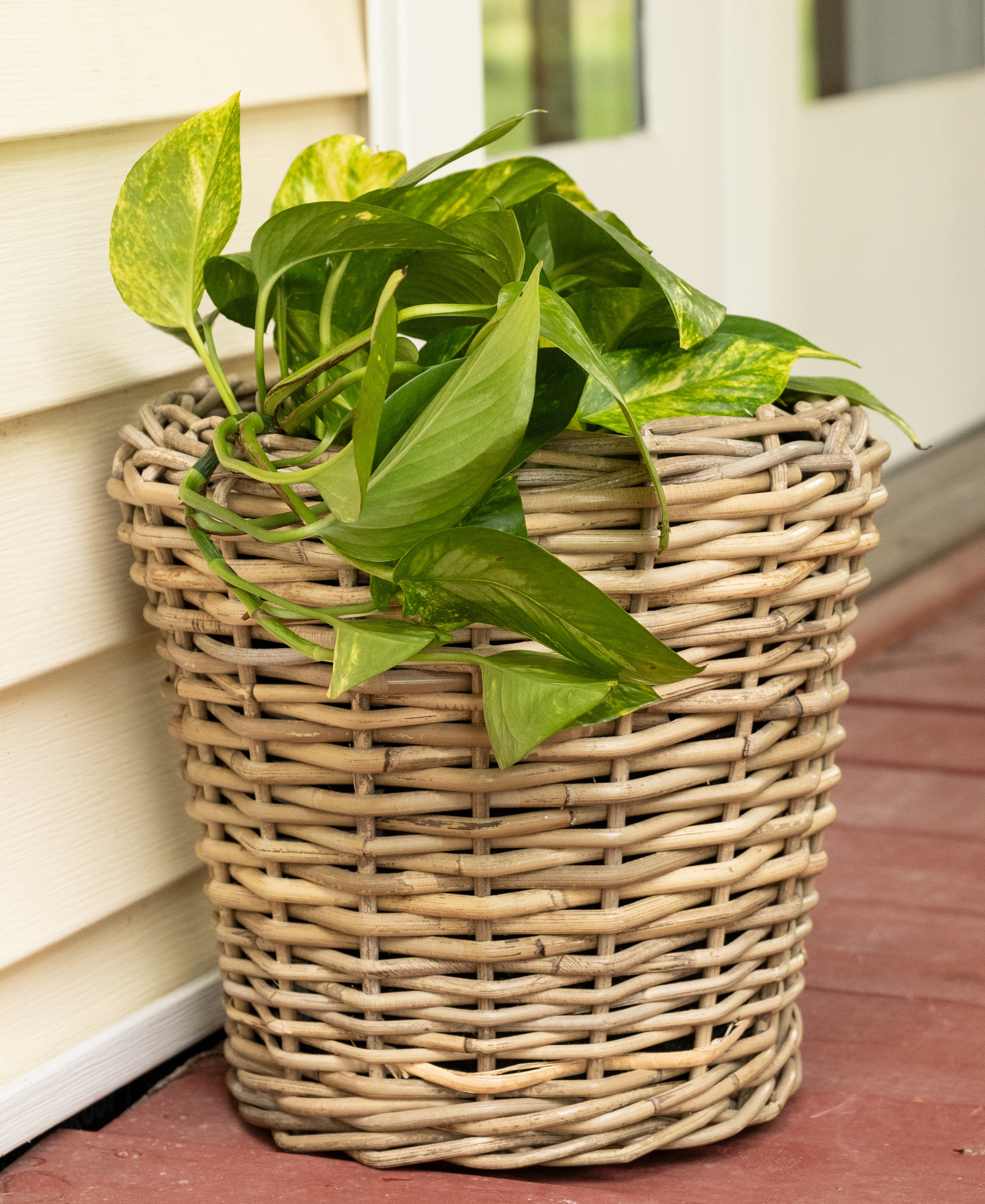 plastic planter inserts round Round Planter with Plastic Insert