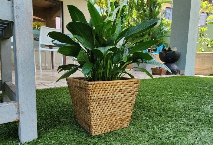 Rattan Square Planter with Plastic Insert