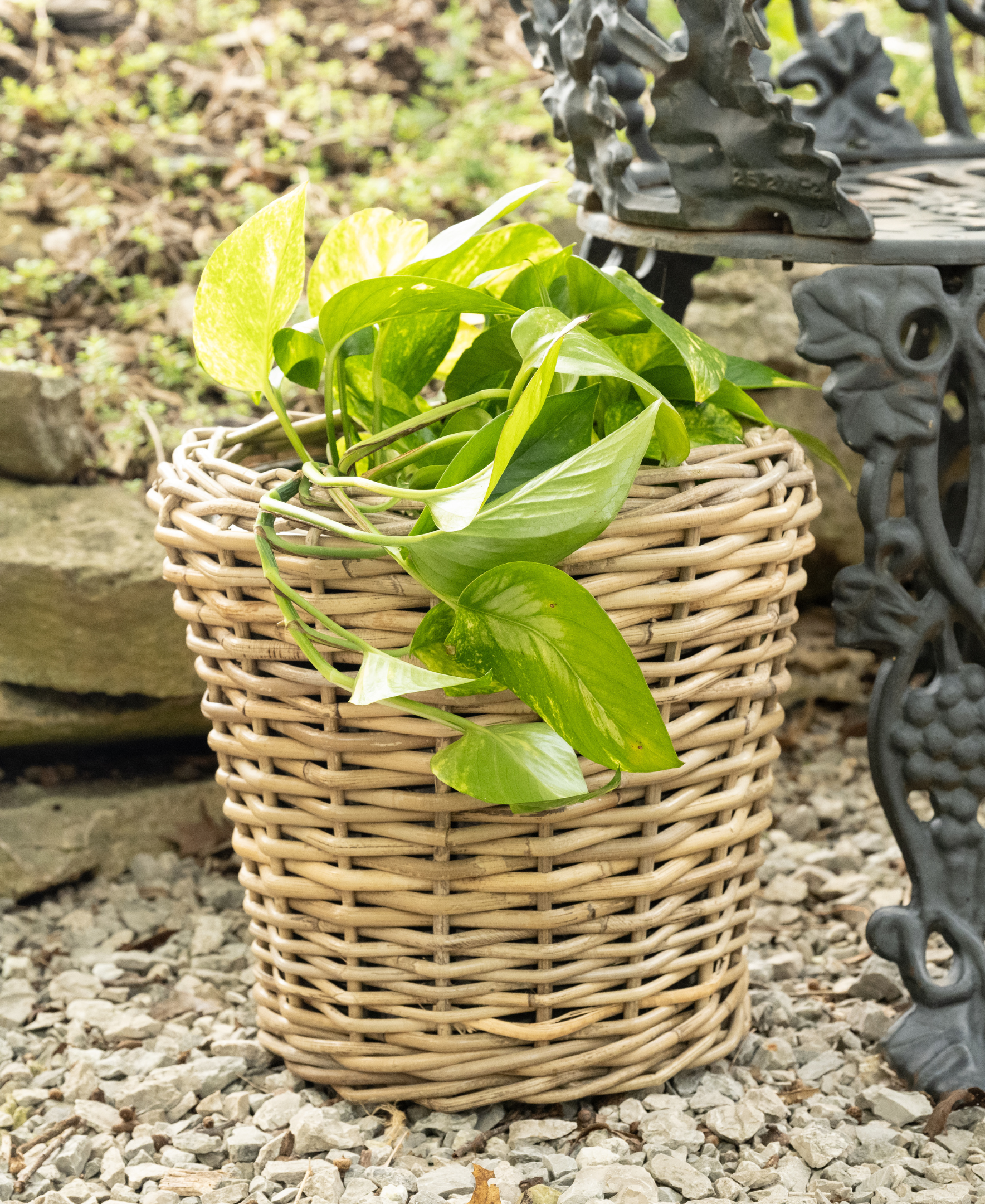 Round Planter with Plastic Insert