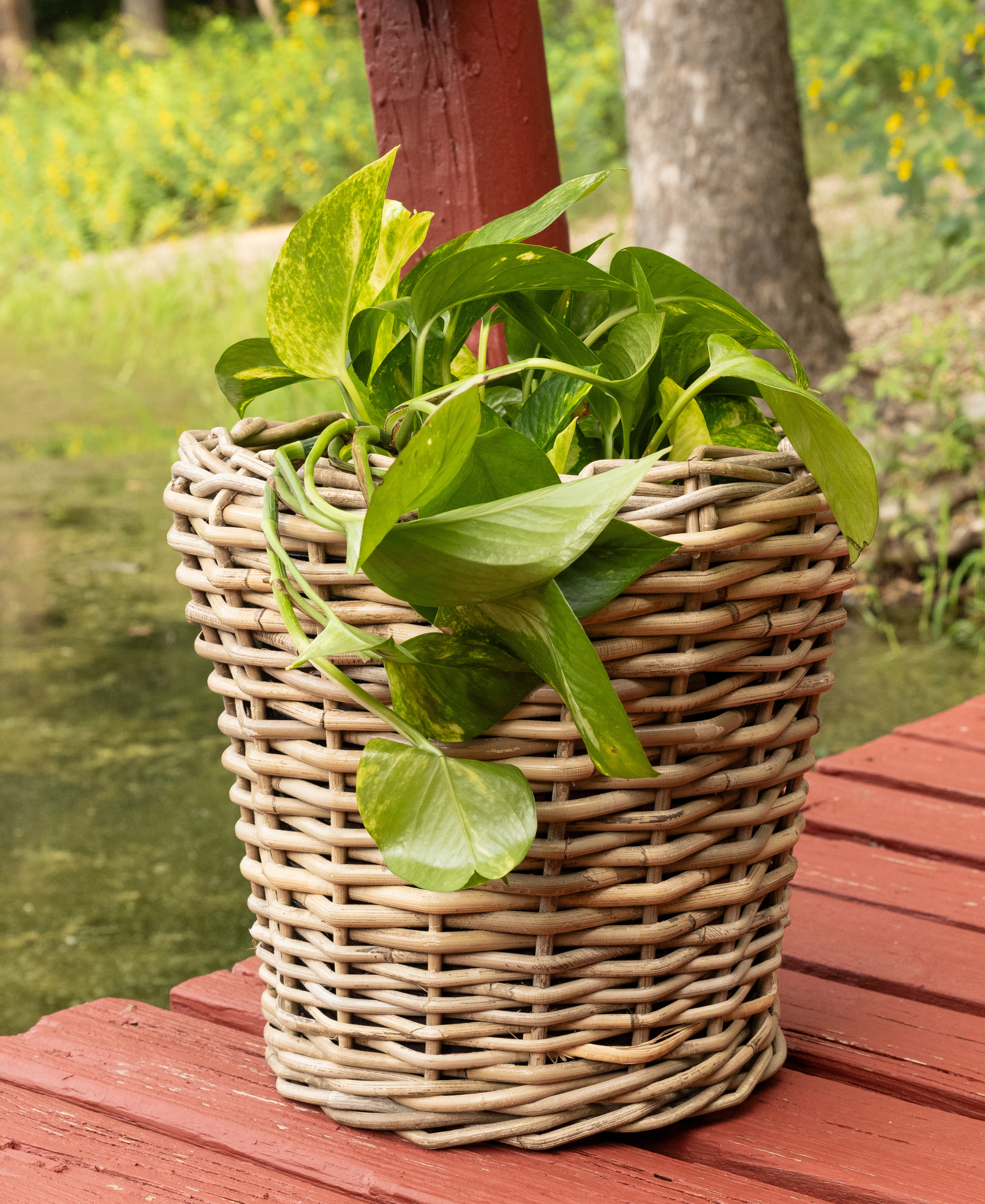 plastic planter inserts round Round Planter with Plastic Insert