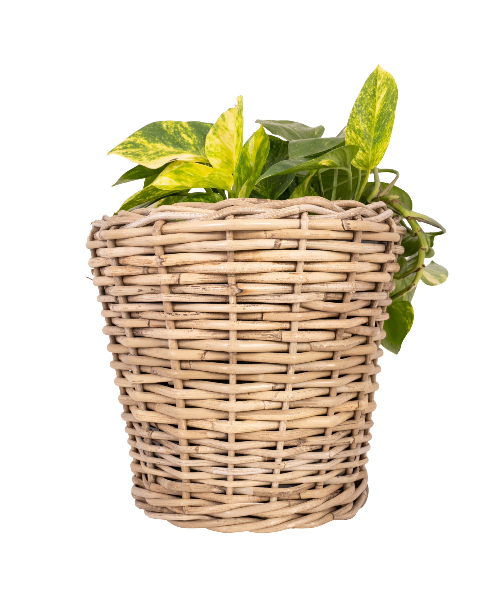 Round Planter with Plastic Insert