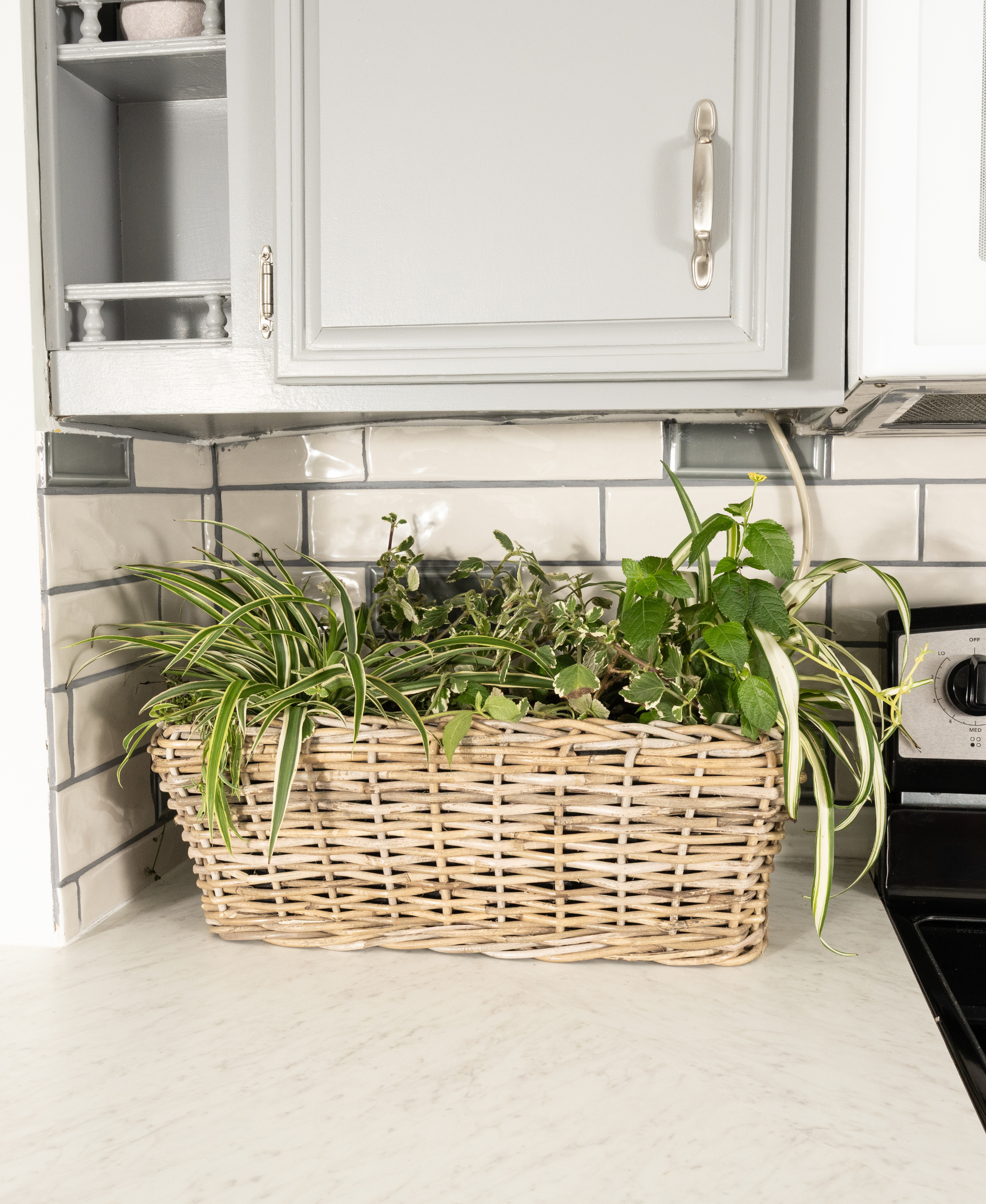 plastic rectangular planter tray Rectangular Planter with Plastic Insert