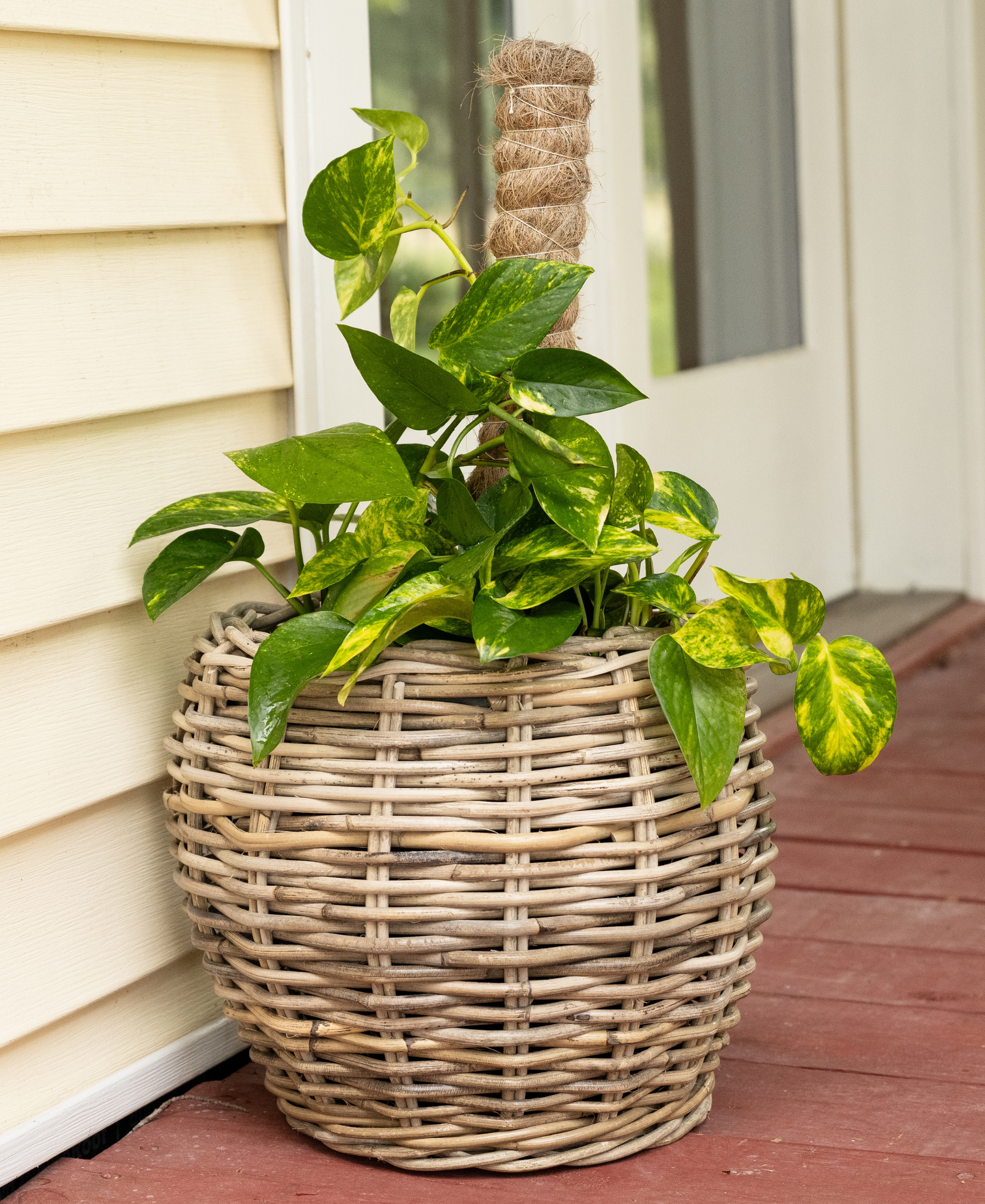 woven indoor plant pot Round Belly Planter with Plastic Insert