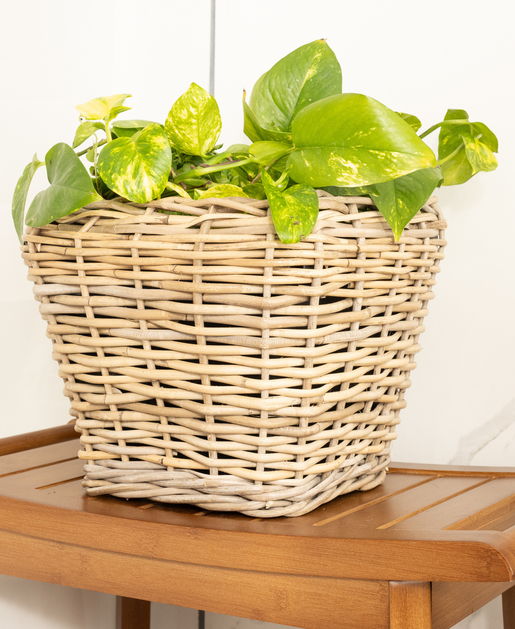 Square Tapered Planter with Plastic Insert