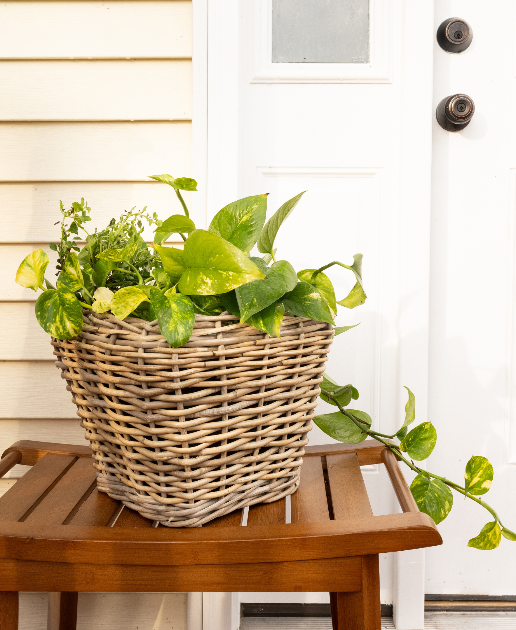 Square Tapered Planter with Plastic Insert