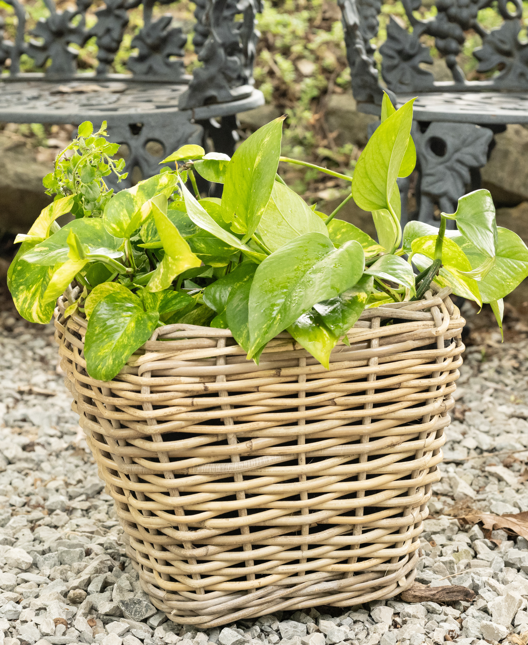 large plastic planter inserts Square Tapered Planter with Plastic Insert