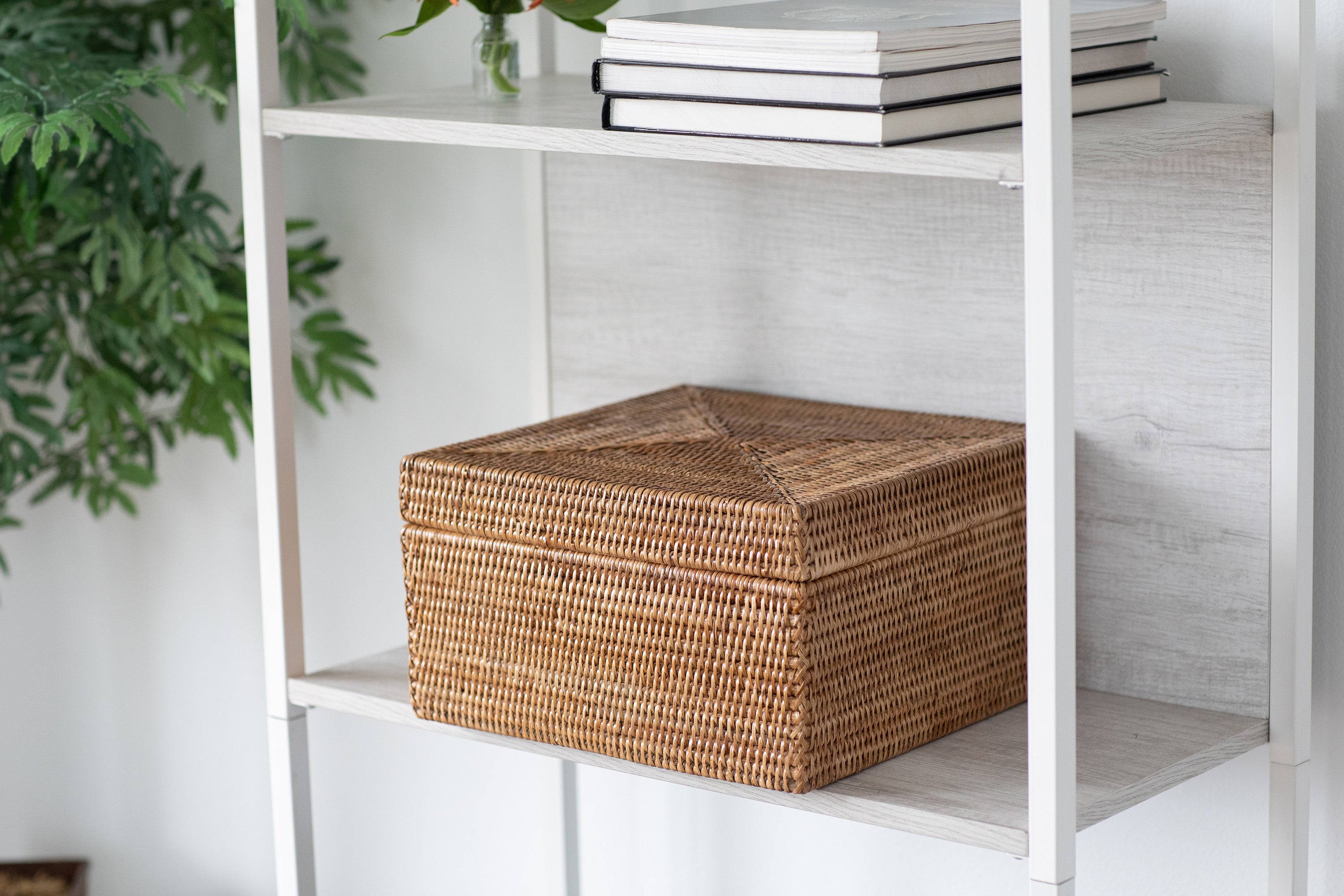 Storage Box with Lid - Flat File Organizer